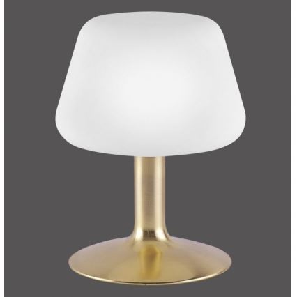 Paul Neuhaus 4078-60 - LED bordlampe m. touch-funktion dæmpbar TILL 1xG9/3W/230V messing