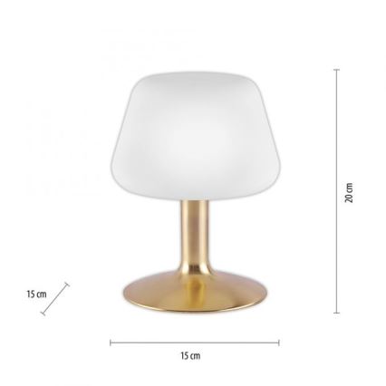 Paul Neuhaus 4078-60 - LED bordlampe m. touch-funktion dæmpbar TILL 1xG9/3W/230V messing
