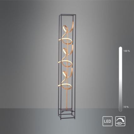 Paul Neuhaus 415-18 - LED gulvlampe dæmpbar SELINA 3xLED/10,2W/230V