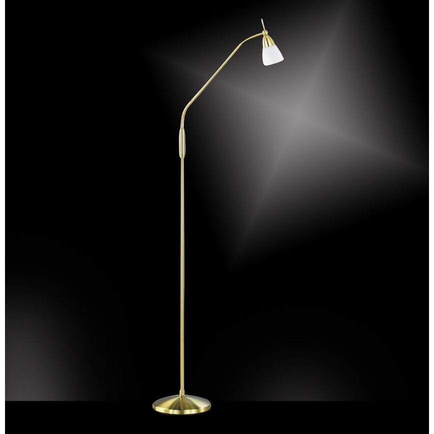Paul Neuhaus 430-60 - gulvlampe med touch-funktion dæmpbar PINO 1xG9/28W/230V guldfarvet