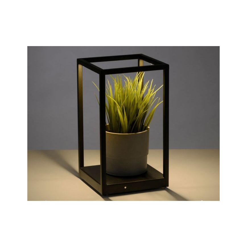Paul Neuhaus 4401-18 - LED bordlampe dæmpbar CONTURA 2xLED/2,2W/230V