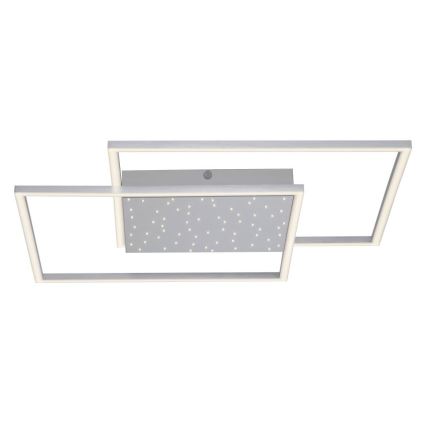 Paul Neuhaus 6024-55 - LED loftlampe dæmpbar YUKI LED/49W/230V + fjernbetjening