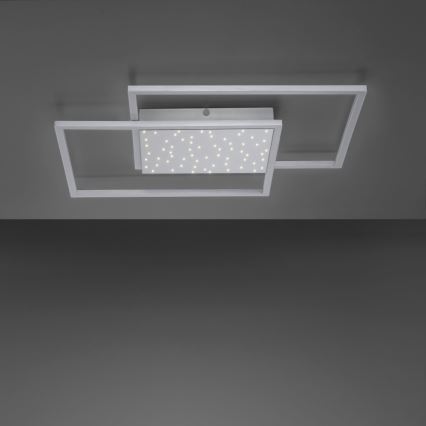 Paul Neuhaus 6024-55 - LED loftlampe dæmpbar YUKI LED/49W/230V + fjernbetjening