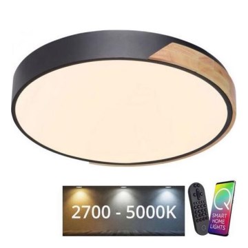 Paul Neuhaus 6071-18 - LED loftlampe dæmpbar Q-PIATO LED/35W/230V diameter 51 cm 2700-5000K Wi-Fi + fjernbetjening