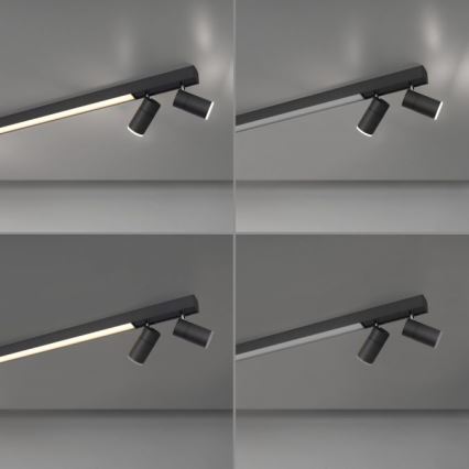 Paul Neuhaus 6121-13 - LED dæmpbar spot PURE 4xLED/4W/230V + LED/9W 2700-5000K + fjernbetjening