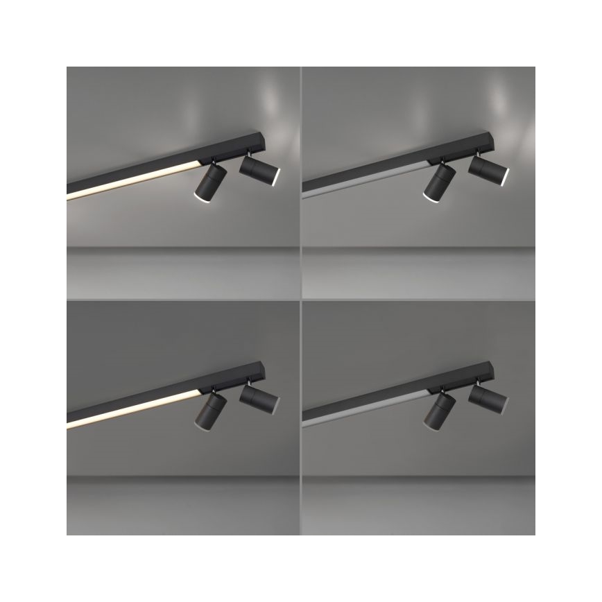 Paul Neuhaus 6121-13 - LED spotlampe dæmpbar PURE 4xLED/4W/230V + LED/9W 2700-5000K + fjernbetjening
