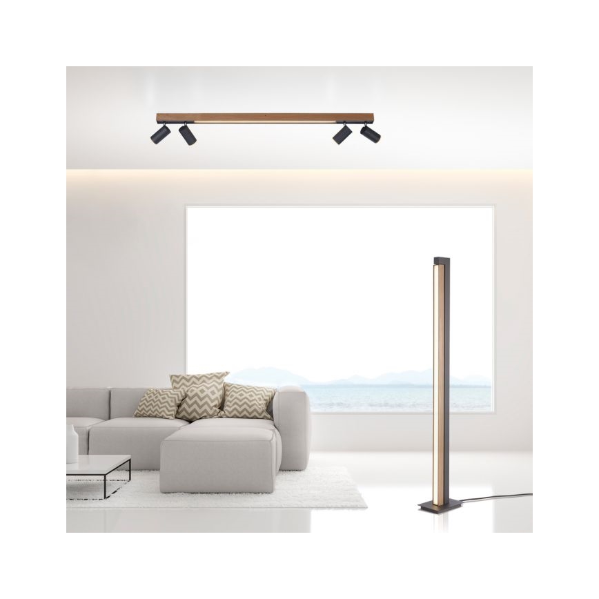 Paul Neuhaus 6121-79 - LED spotlampe dæmpbar PURE 4xLED/4W/230V + LED/9W 2700-5000K + fjernbetjening