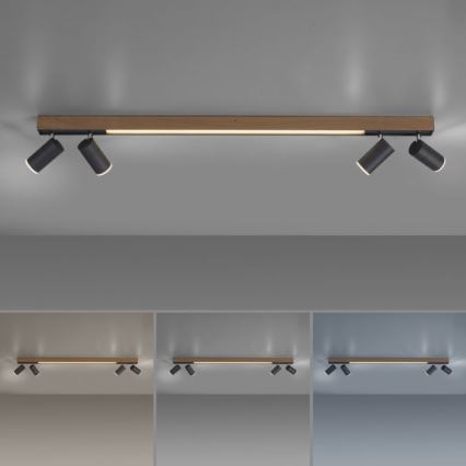 Paul Neuhaus 6121-79 - LED spotlampe dæmpbar PURE 4xLED/4W/230V + LED/9W 2700-5000K + fjernbetjening