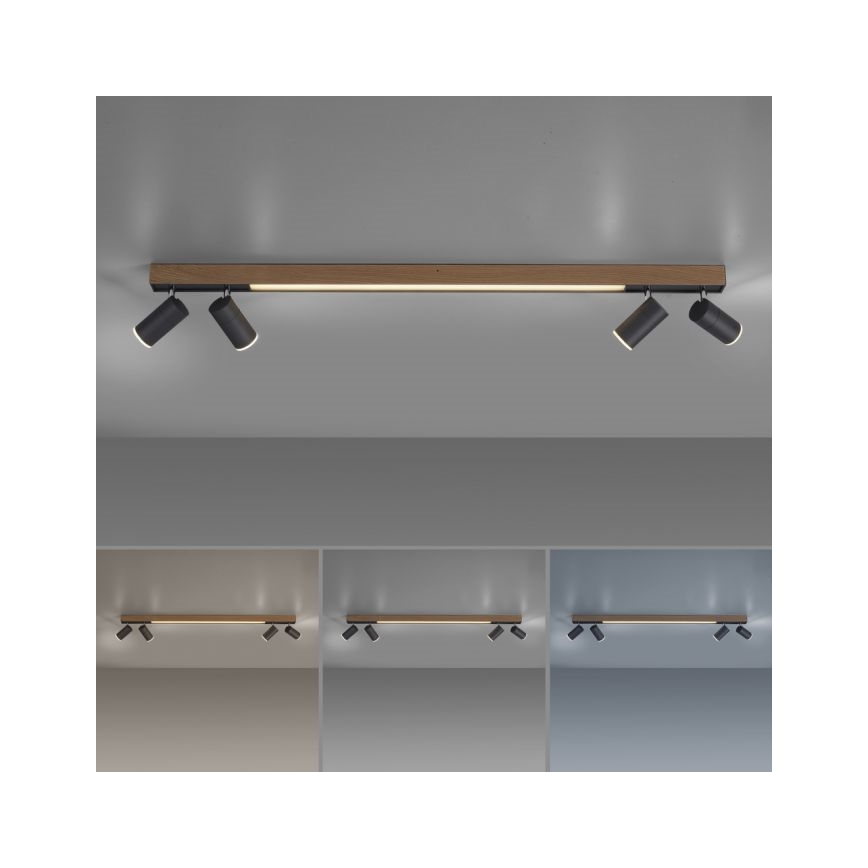 Paul Neuhaus 6121-79 - LED spotlampe dæmpbar PURE 4xLED/4W/230V + LED/9W 2700-5000K + fjernbetjening