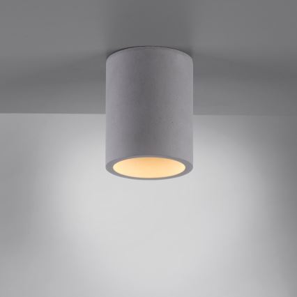 Paul Neuhaus 6160-22 - Spotlampe ETON 1xGU10/10W/230V beton