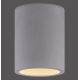 Paul Neuhaus 6160-22 - Spotlampe ETON 1xGU10/10W/230V
