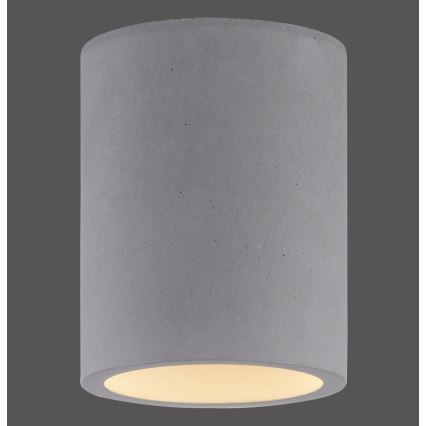 Paul Neuhaus 6160-22 - Spotlampe ETON 1xGU10/10W/230V beton