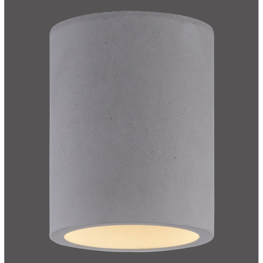 Paul Neuhaus 6160-22 - Spotlampe ETON 1xGU10/10W/230V beton