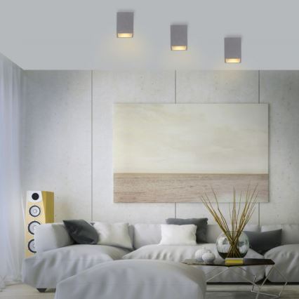 Paul Neuhaus 6161-22 - Spotlampe ETON 1xGU10/10W/230V beton