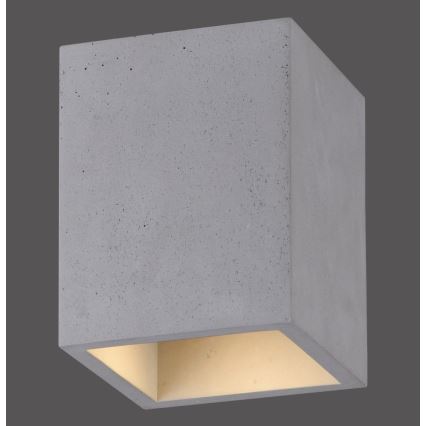 Paul Neuhaus 6161-22 - Spotlampe ETON 1xGU10/10W/230V beton