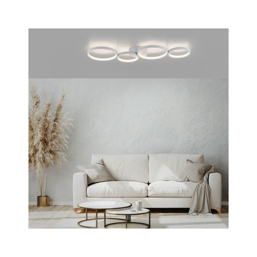 Paul Neuhaus 6183-16 - LED loftlampe dæmpbar KIRINGE LED/26W/230V