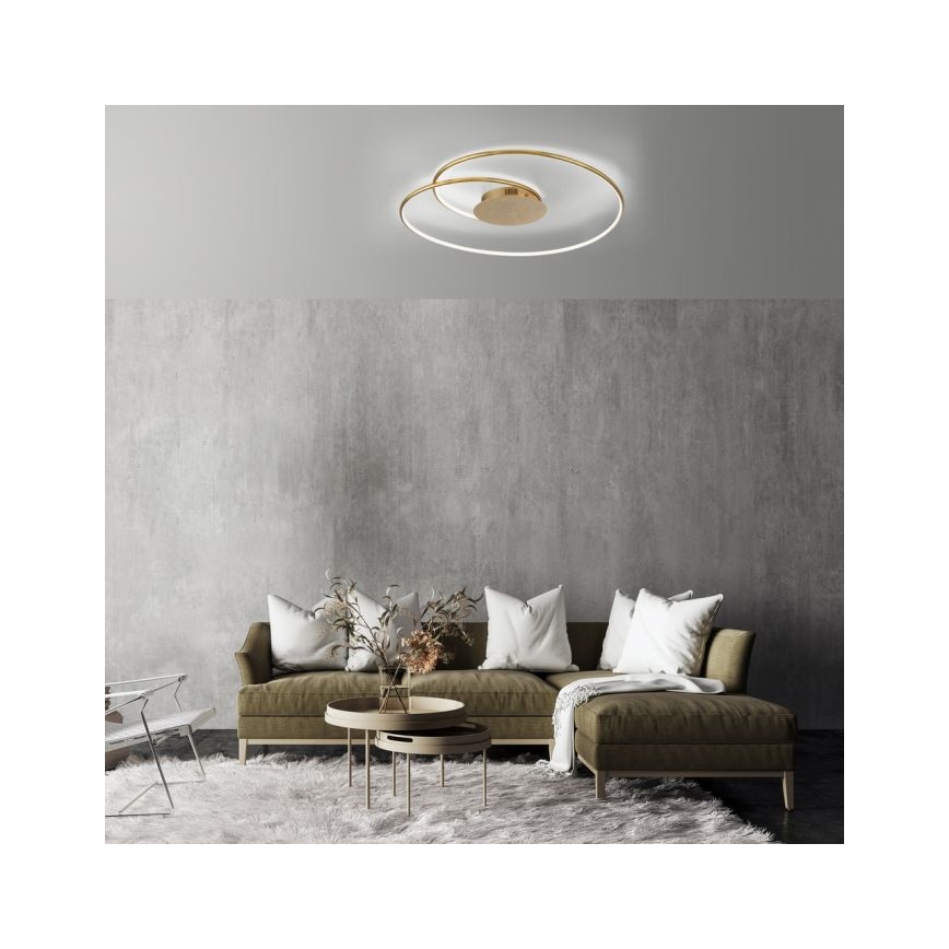 Paul Neuhaus 6189-12 - LED loftlampe dæmpbar NASTRO LED/26W/230V