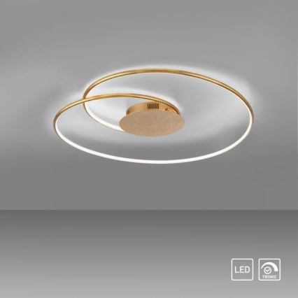 Paul Neuhaus 6189-12 - LED loftlampe dæmpbar NASTRO LED/26W/230V