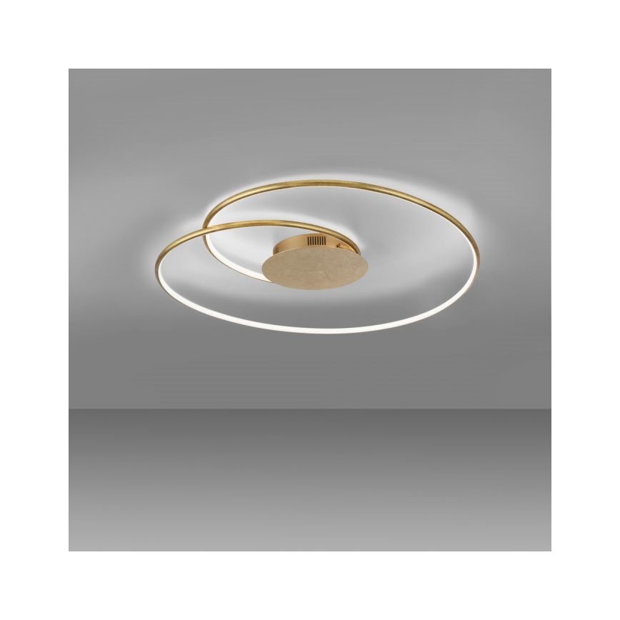 Paul Neuhaus 6189-12 - LED loftlampe dæmpbar NASTRO LED/26W/230V