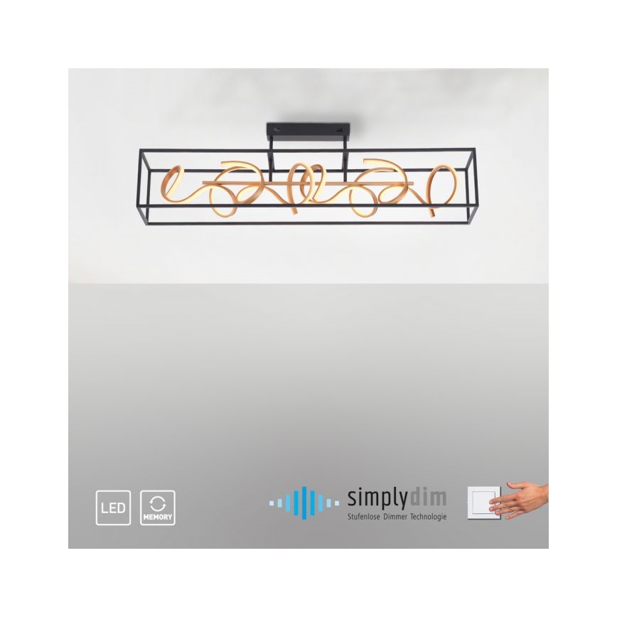 Paul Neuhaus 6473-18 - LED lysdæmper lysekrone i en snor SELINA 4xLED/10,2W/230V