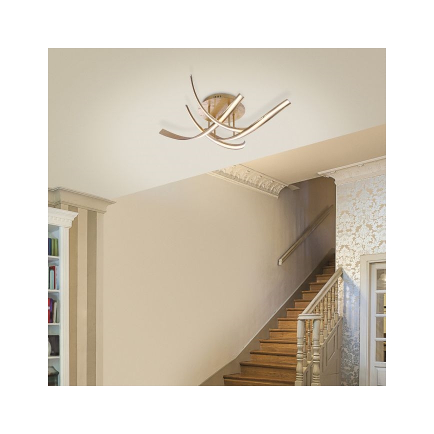 Paul Neuhaus 6474-12 - LED loftlampe dæmpbar LINDA 4xLED/7W/230V