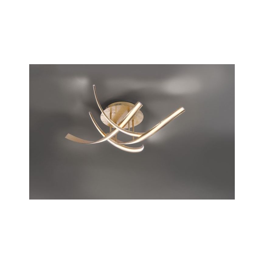 Paul Neuhaus 6474-12 - LED loftlampe dæmpbar LINDA 4xLED/7W/230V