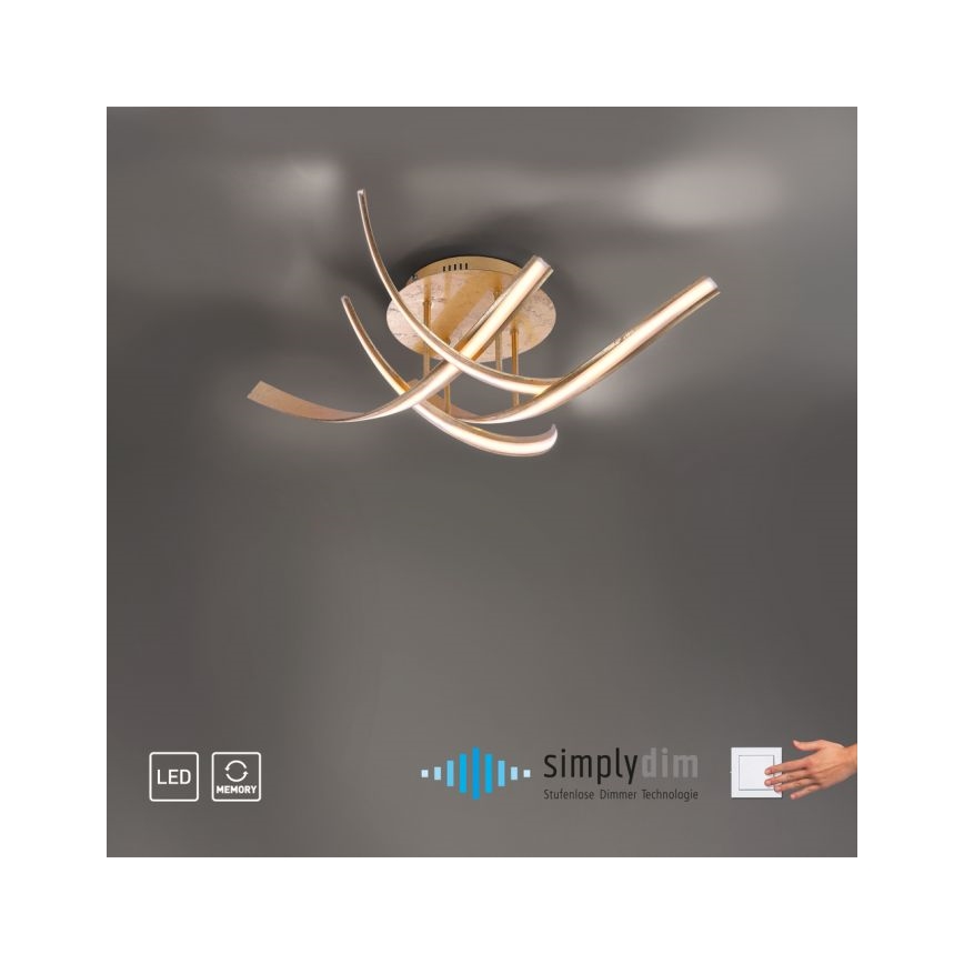 Paul Neuhaus 6474-12 - LED loftlampe dæmpbar LINDA 4xLED/7W/230V