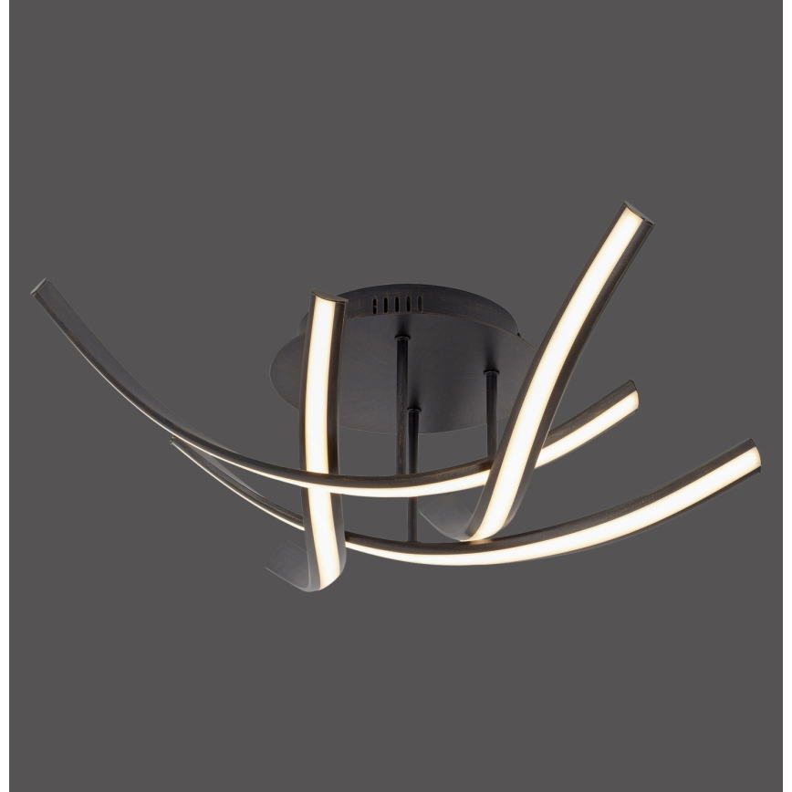 Paul Neuhaus 6474-48 - LED loftlampe dæmpbar LINDA 4xLED/7W/230V