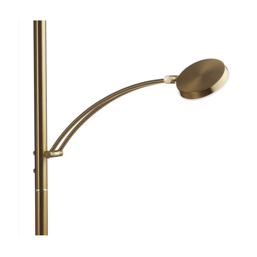 Paul Neuhaus 655-60 - LED-dæmpbar gulvlampe ALFRED LED/28W/230V+LED/4W/230V messing