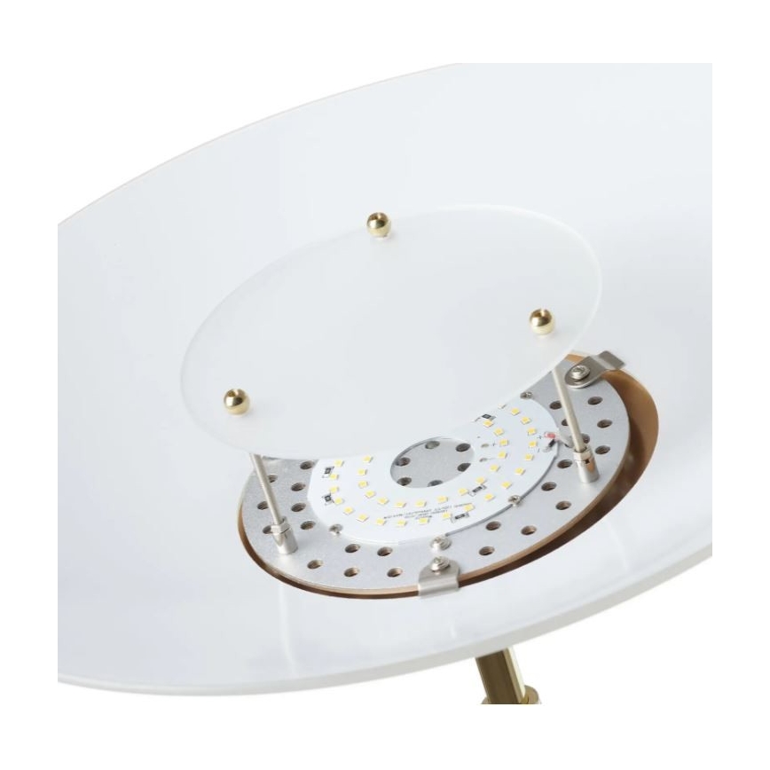 Paul Neuhaus - 655-60 - LED gulvlampe dæmpbar ALFRED 1xLED/28W/230V+1xLED/4W/230V messing