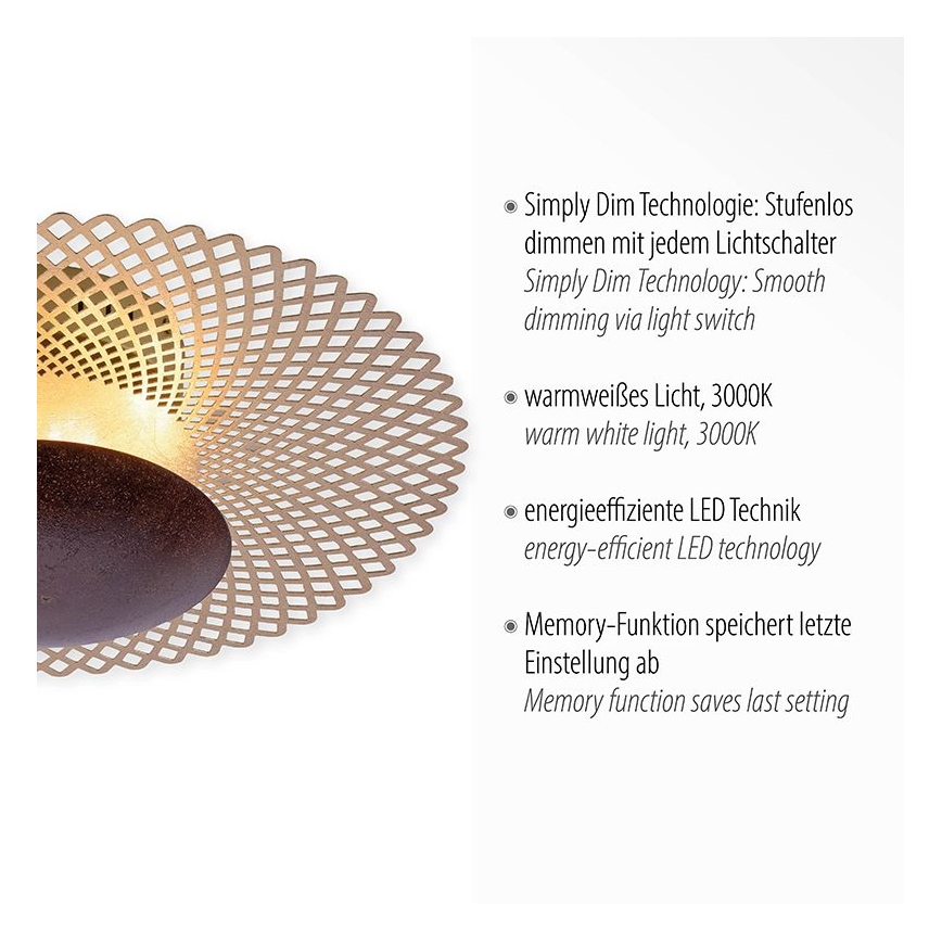 Paul Neuhaus 6551-48 - LED loftlampe dæmpbar NEVIS LED/18W/230V