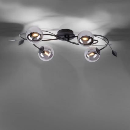 Paul Neuhaus 6724-18 - LED loftlampe WIDOW 4xG9/3W/230V