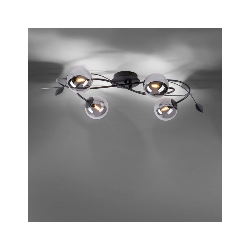 Paul Neuhaus 6724-18 - LED loftlampe WIDOW 4xG9/3W/230V