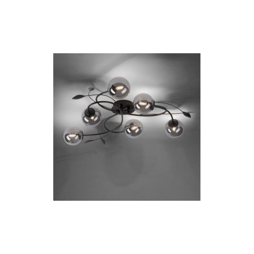Paul Neuhaus 6737-18 - LED loftlampe WIDOW 6xG9/3W/230V