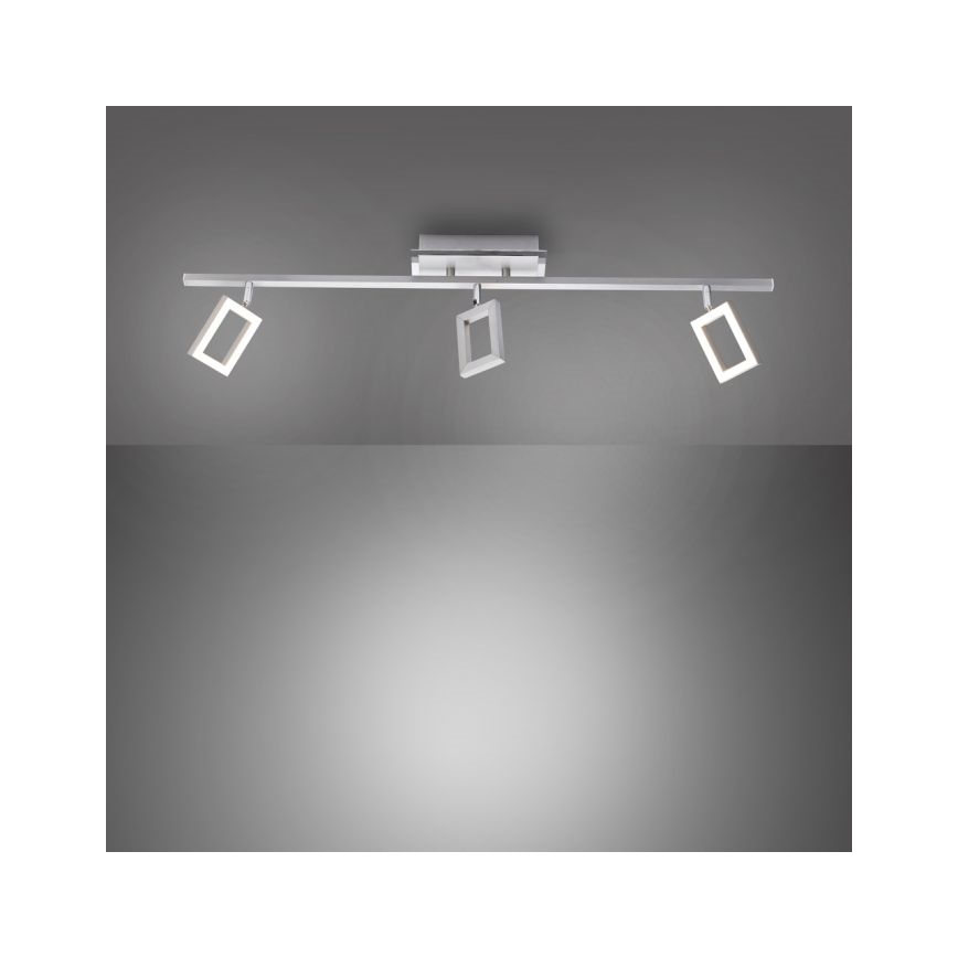Paul Neuhaus 6959-55 - LED spotlampe INIGO 3xLED/4,2W/230V