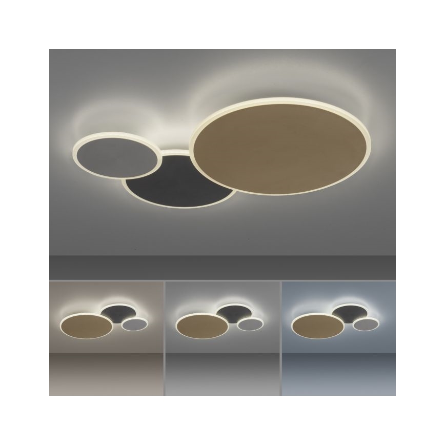 Paul Neuhaus 8007-70 - LED dæmpbar loftlampe Q-PIATO LED/35W/230V 2700-5000K Wi-Fi + fjernbetjening