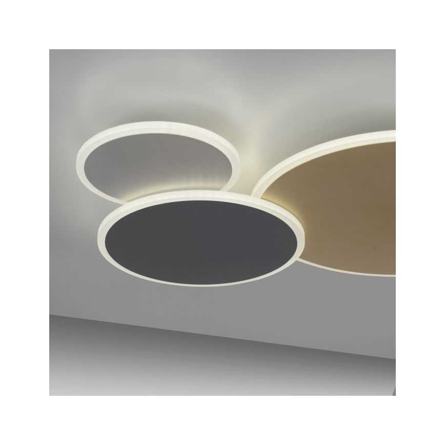 Paul Neuhaus 8007-70 - LED loftlampe dæmpbar Q-PIATO LED/35W/230V 2700-5000K Wi-Fi + fjernbetjening