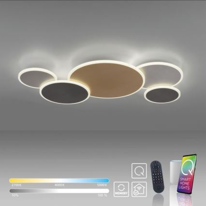 Paul Neuhaus 8008-70 - LED loftlampe dæmpbar Q-PIATO LED/49W/230V 2700-5000K Wi-Fi + fjernbetjening