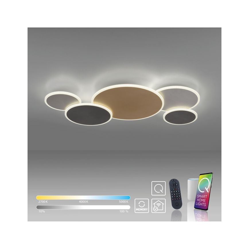 Paul Neuhaus 8008-70 - LED loftlampe dæmpbar Q-PIATO LED/49W/230V 2700-5000K Wi-Fi + fjernbetjening
