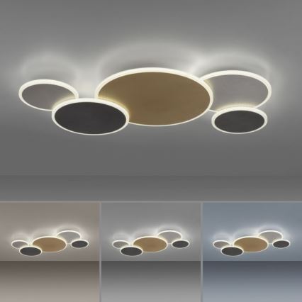 Paul Neuhaus 8008-70 - LED loftlampe dæmpbar Q-PIATO LED/49W/230V 2700-5000K Wi-Fi + fjernbetjening
