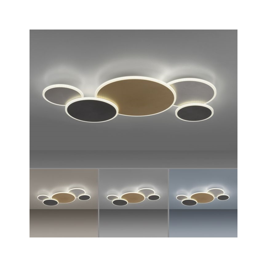 Paul Neuhaus 8008-70 - LED loftlampe dæmpbar Q-PIATO LED/49W/230V 2700-5000K Wi-Fi + fjernbetjening