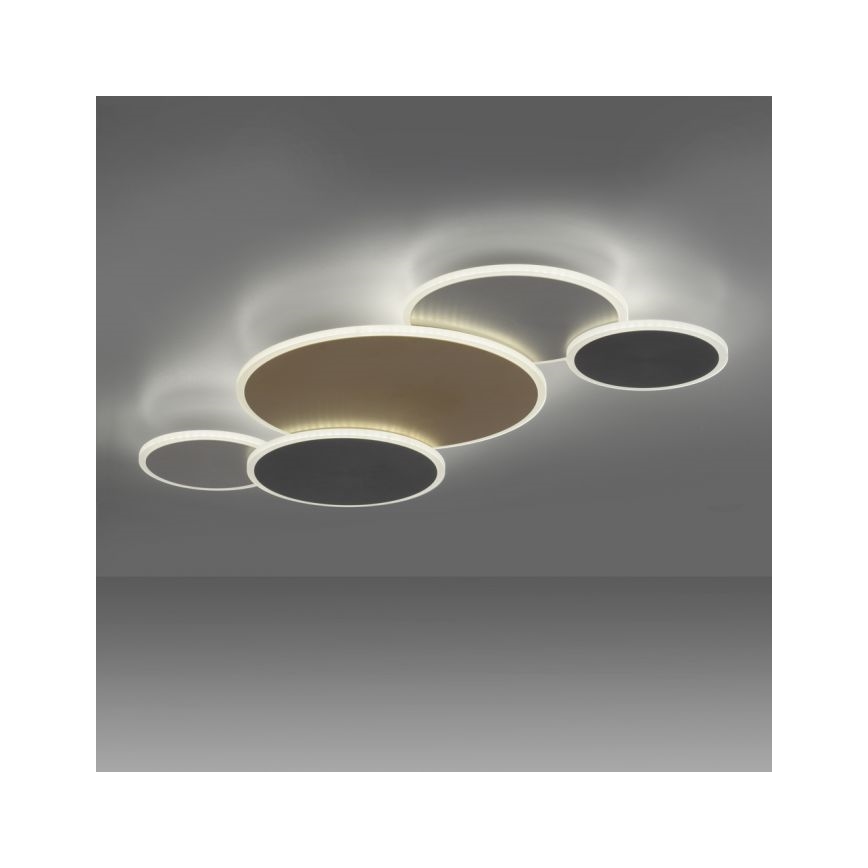 Paul Neuhaus 8008-70 - LED loftlampe dæmpbar Q-PIATO LED/49W/230V 2700-5000K Wi-Fi + fjernbetjening
