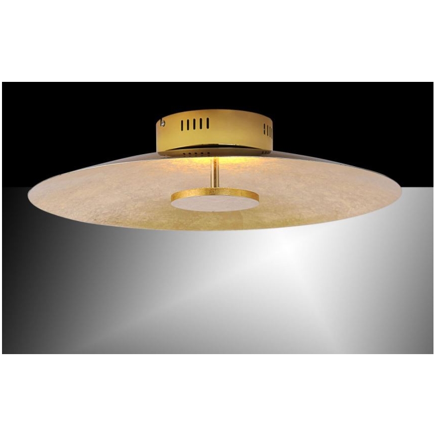 Paul Neuhaus 8132-12 - LED loftlampe dæmpbar PLATE LED/25W/230V