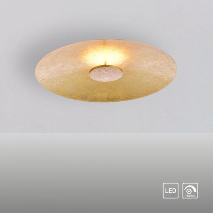 Paul Neuhaus 8132-12 - LED loftlampe dæmpbar PLATE LED/25W/230V