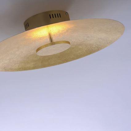 Paul Neuhaus 8132-12 - LED loftlampe dæmpbar PLATE LED/25W/230V