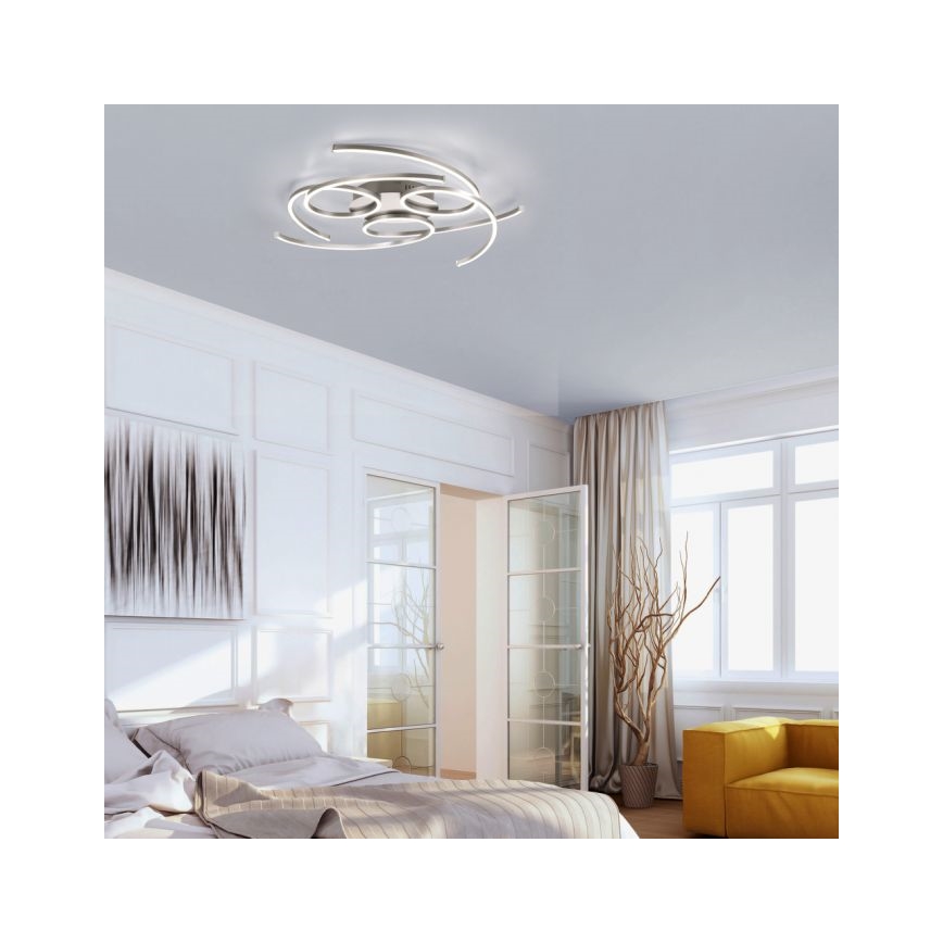 Paul Neuhaus 8165-55 - LED lysdæmper loftslampe DANILO 3xLED/12W/230V