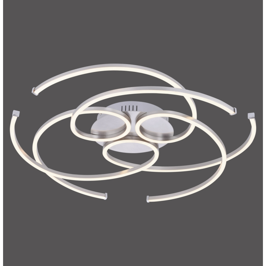 Paul Neuhaus 8165-55 - LED lysdæmper loftslampe DANILO 3xLED/12W/230V