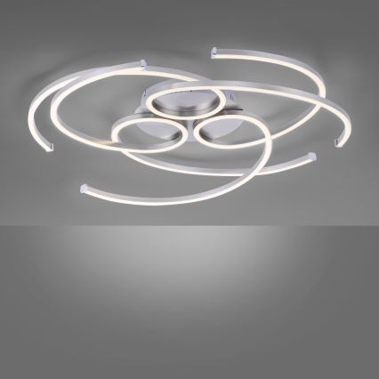 Paul Neuhaus 8165-55 - LED lysdæmper loftslampe DANILO 3xLED/12W/230V