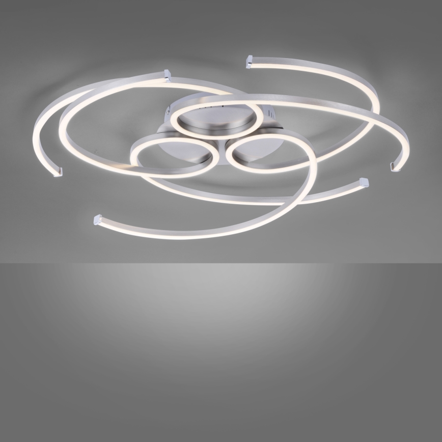Paul Neuhaus 8165-55 - LED lysdæmper loftslampe DANILO 3xLED/12W/230V