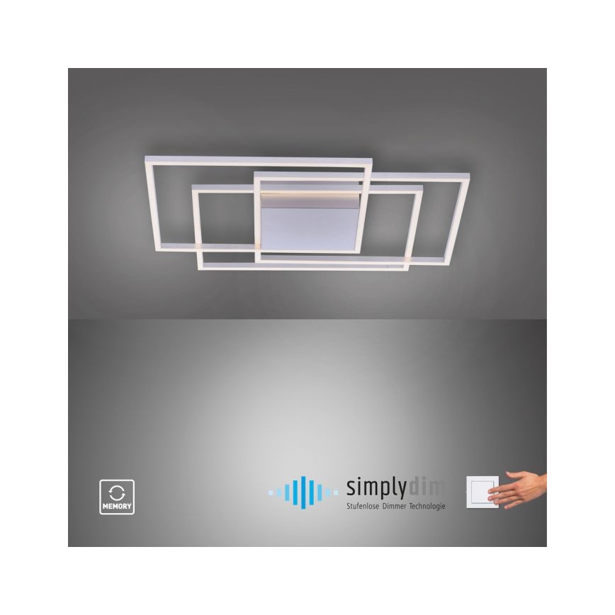 Paul Neuhaus 8256-55 - LED lysdæmper loftslampe INIGO 3xLED/16W/230V